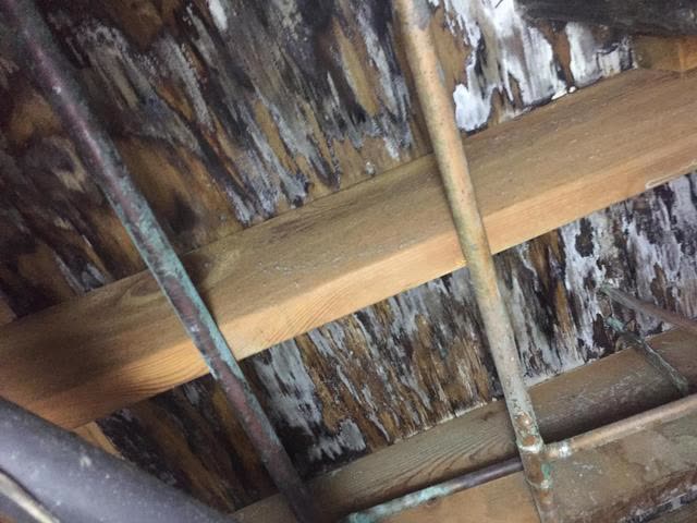 Illustrative before-and-after view of moisture-affected materials and a remediated space